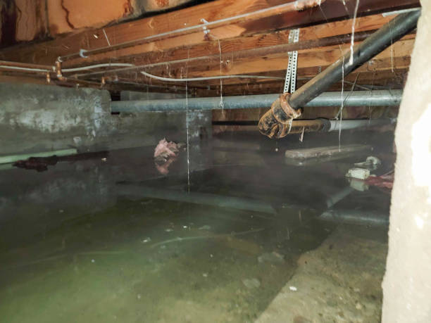 Best Water damage restoration specialists  in Aransas Pass, TX