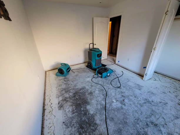 Best Basement water damage restoration  in Aransas Pass, TX