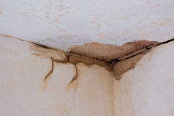Best 24-hour water damage restoration  in Aransas Pass, TX