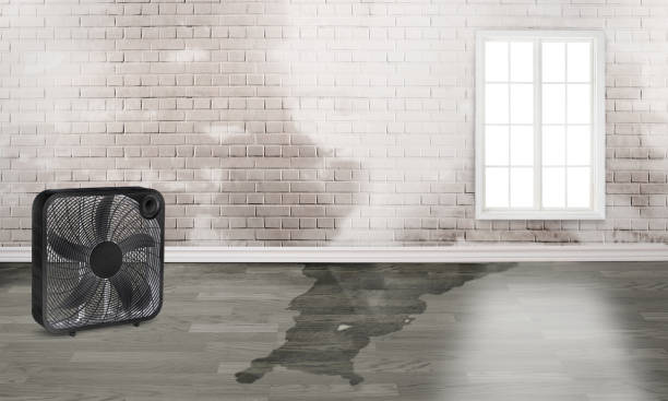 Best Water damage restoration cost  in Aransas Pass, TX
