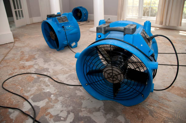 Best Flood restoration services  in Aransas Pass, TX